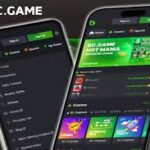 Understanding the Terms and Conditions of Hash Game