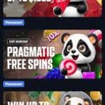 DOGE Community Exploring the World of Meme Bets