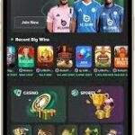 Download the BC.Game App Your Gateway to Exciting Crypto Gaming